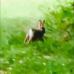 Meet your Posher, Eloisa